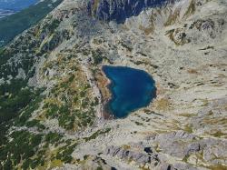 Lake from Above